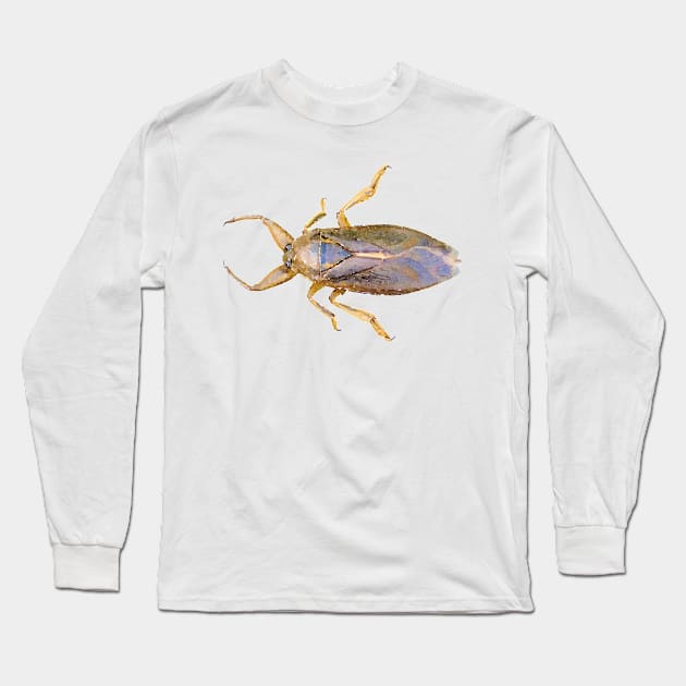 Giant Water Bug Long Sleeve T-Shirt by Griffelkinn